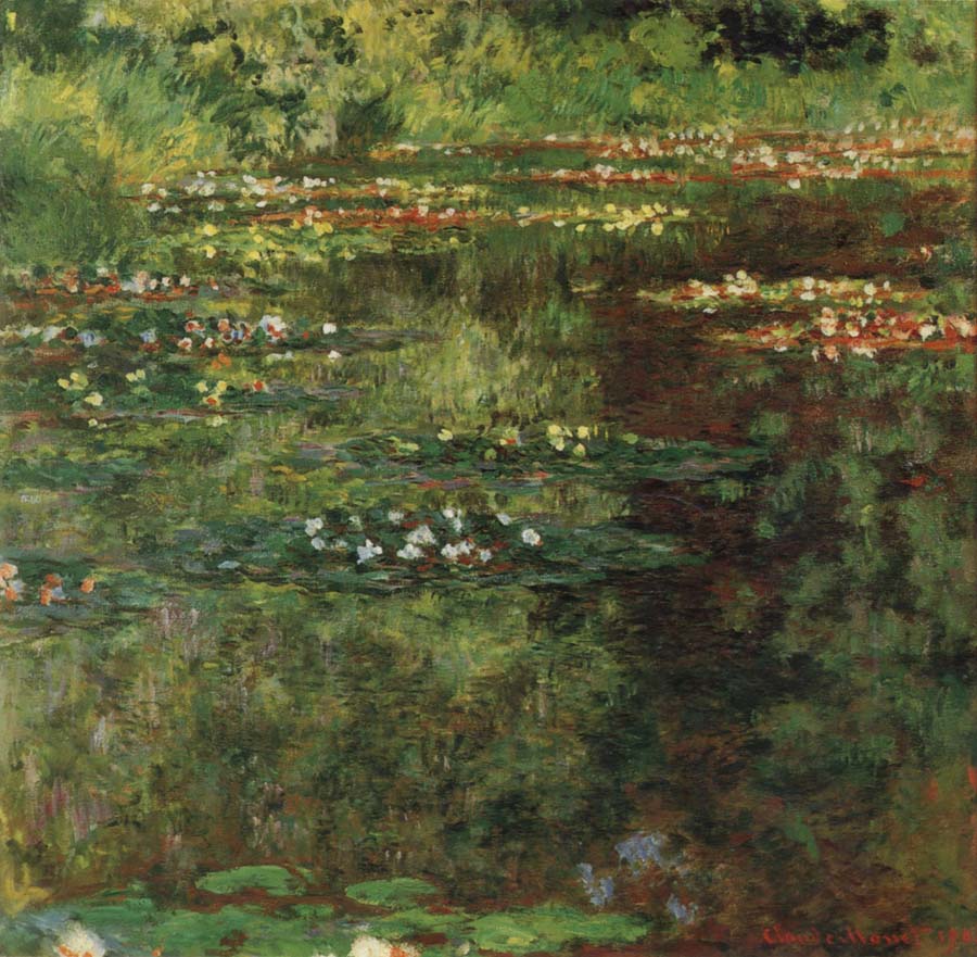 Water Lilies